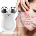 Radiant Skin Microcurrent Face Roller